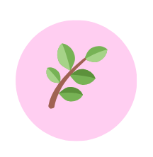 approche naturel et bien être omorphia toulouse